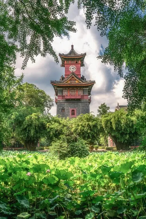 英国上市公司365